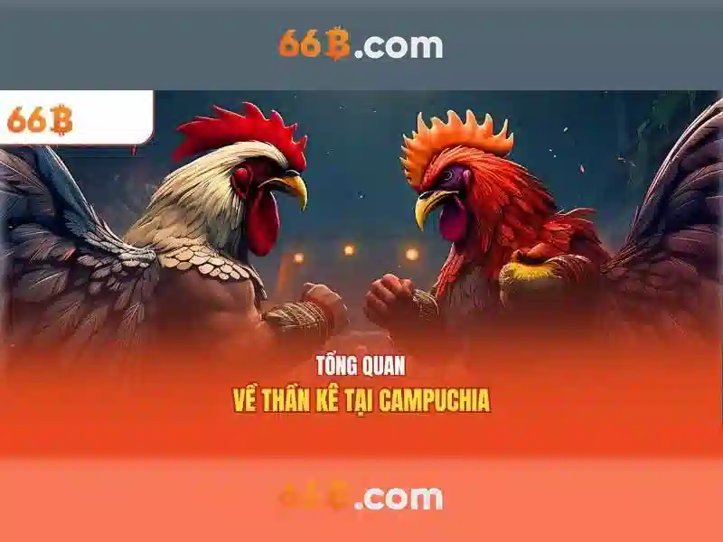 66B – Trải Nghiệm Chơi Slot Không Bị Chặn 2026