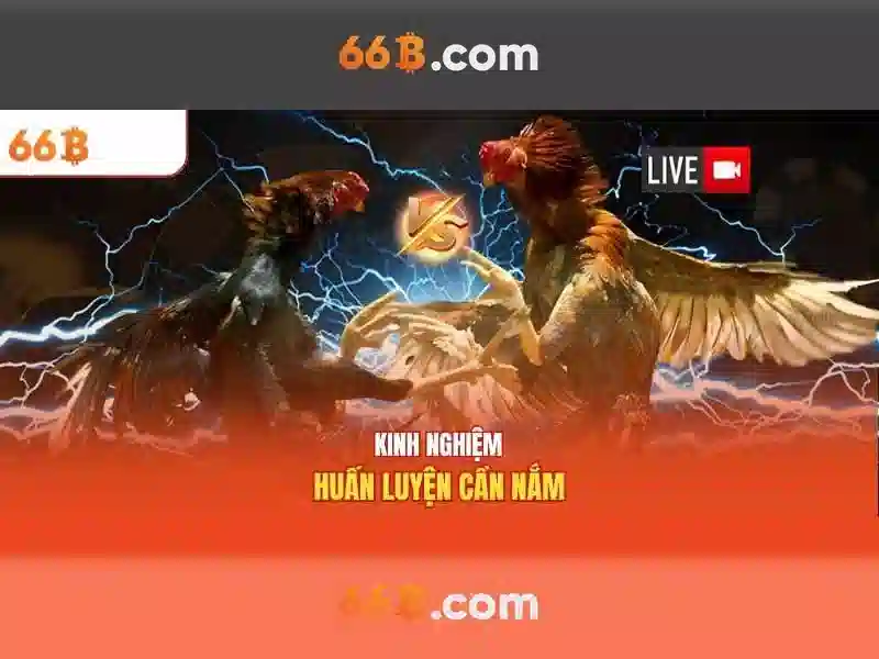 66B – Hướng Dẫn Nạp Tiền 66B Trực Tuyến Thú Vị Nhận Thưởng Hấp Dẫn – Copyright © 2026