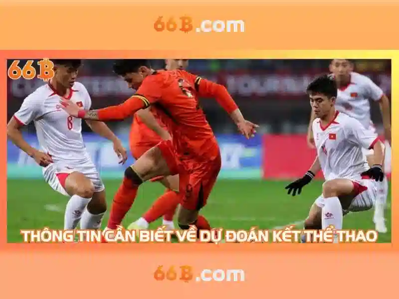 Giới Thiệu Về 66B Chính Thức