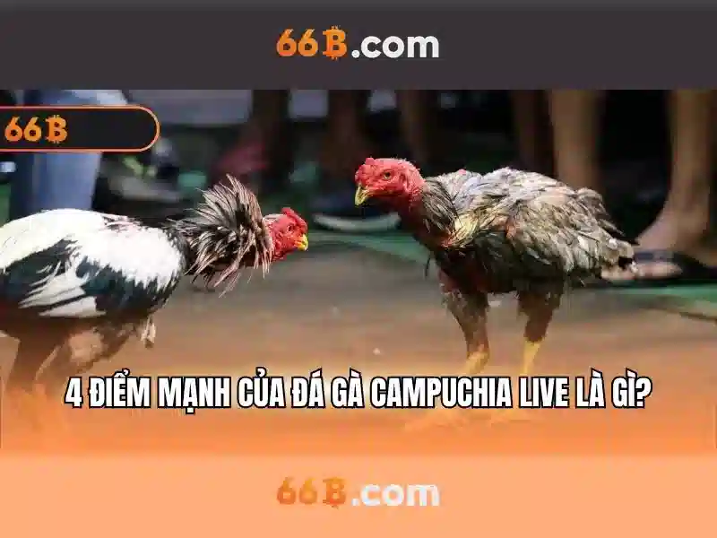 Khuyến Mãi 66B – Chương Trình Ưu Đãi Độc Quyền
