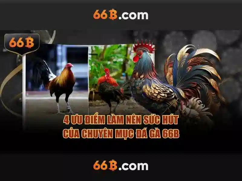 Khám Phá 66B