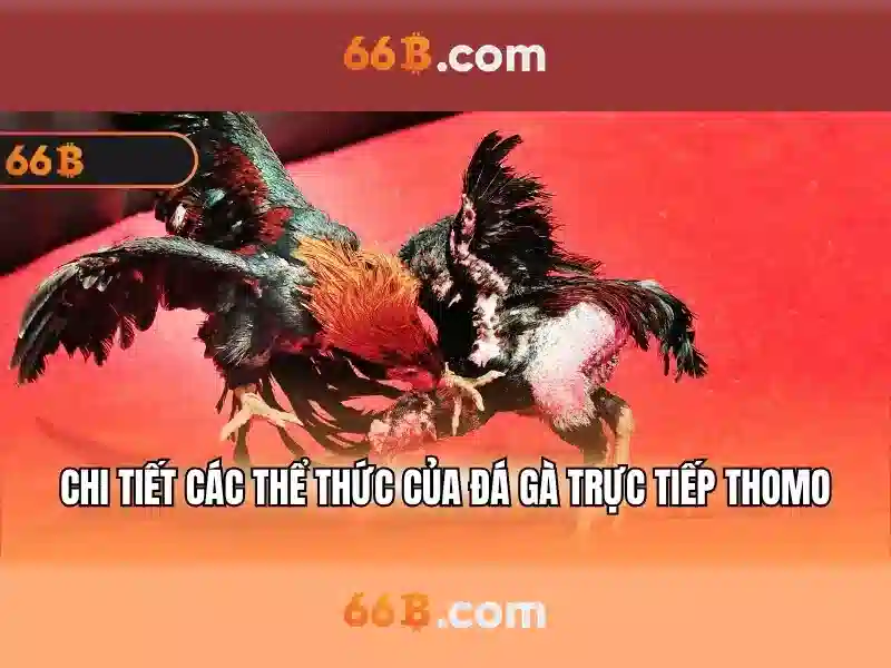 Trải Nghiệm Cờ Caro 66B