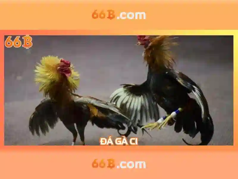 Trải Nghiệm Casino 66B