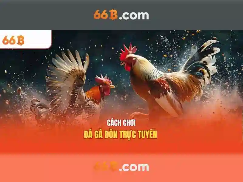 Khuyến Mãi Hấp Dẫn