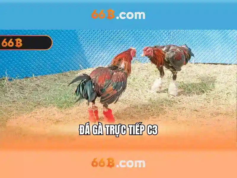 Trải nghiệm bắn cá 66b