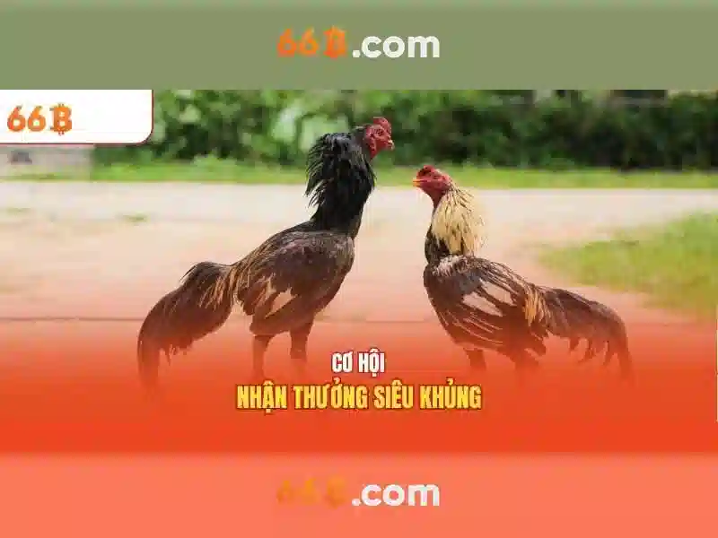 66B – Trải Nghiệm Nhận Thưởng 66B Độc Quyền Cho Người Chơi Slot