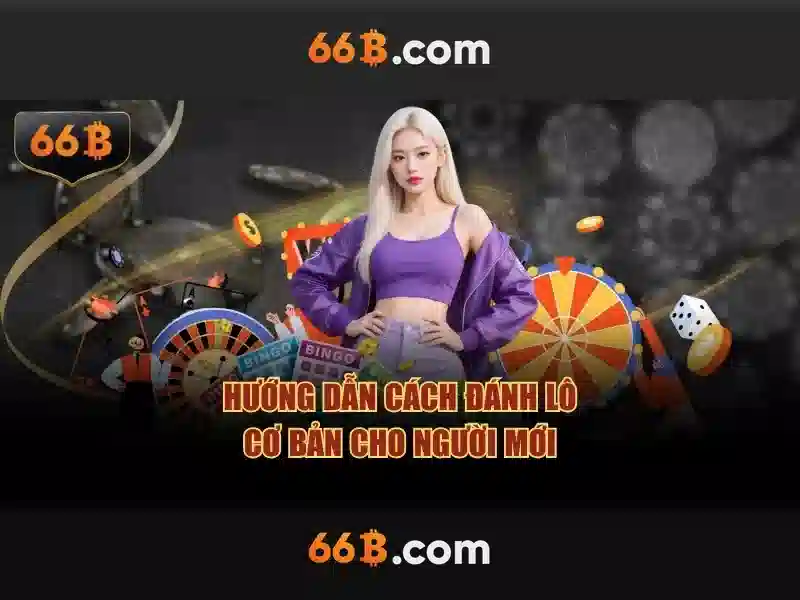 Lý Do Chọn 66B Chính Thức