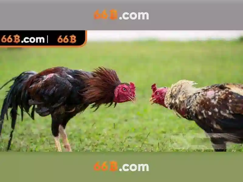 Đặc Điểm Nổi Bật Của Game Slot 66B