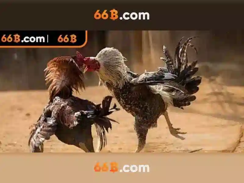 Nền tảng slot uy tín