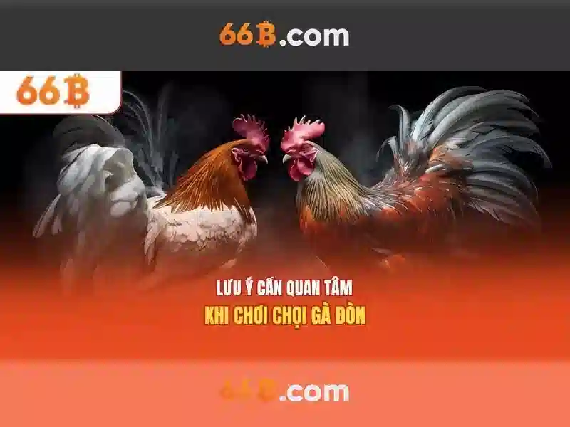 Khuyến Mãi Slot