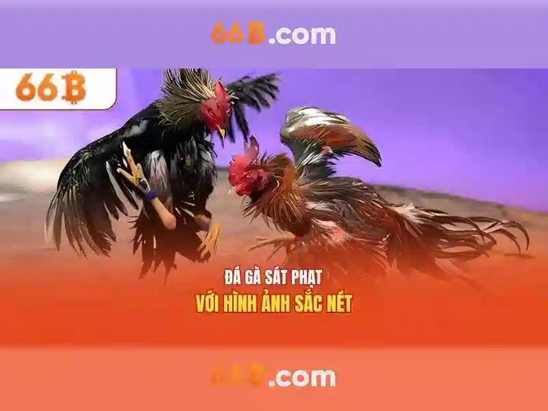 Đa Dạng Thể Loại Trò Chơi Slot