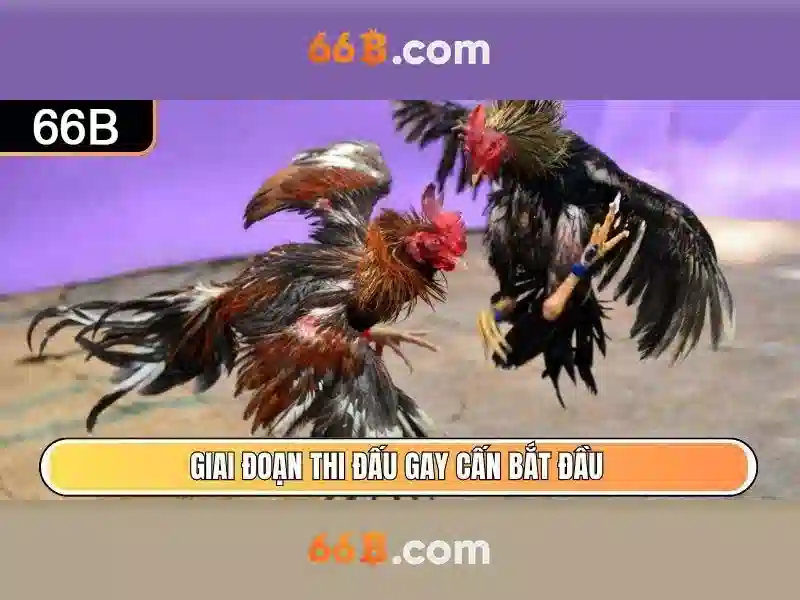 Liên Hệ XN88 – Trung Tâm Hỗ Trợ & Dịch Vụ Chăm Sóc Khách Hàng 24/7