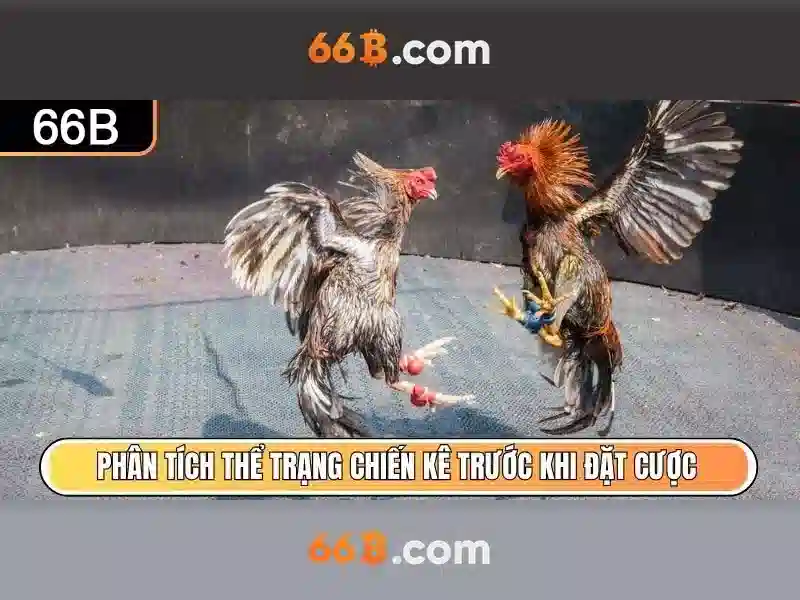 Trò Chơi Slot 66B