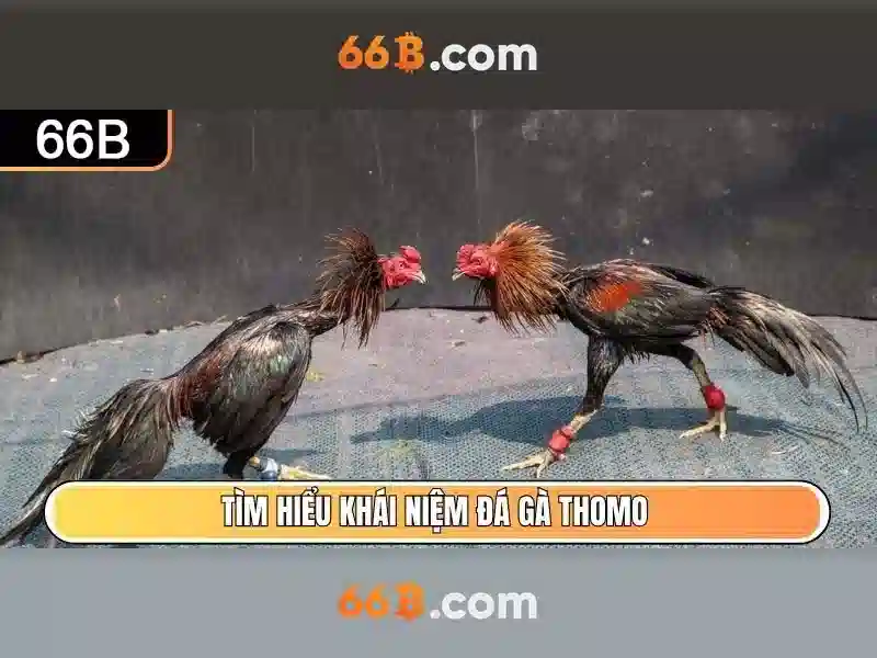 Ưu Đãi 66B Cho Thành Viên Mới