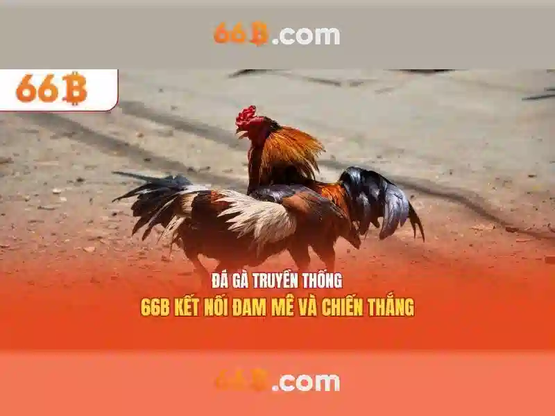 66B – Ứng dụng 66B – Trải nghiệm Slot đỉnh cao và Kinh nghiệm chơi 2026