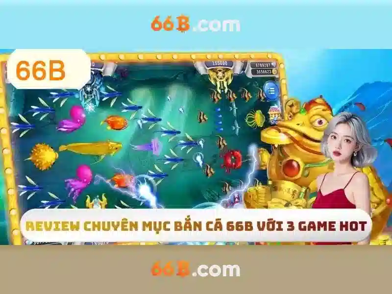 Chính Sách Liên Hệ 66B