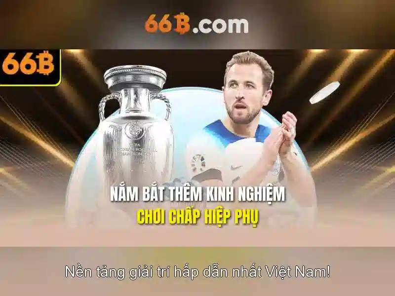 Dịch Vụ Hỗ Trợ 66B