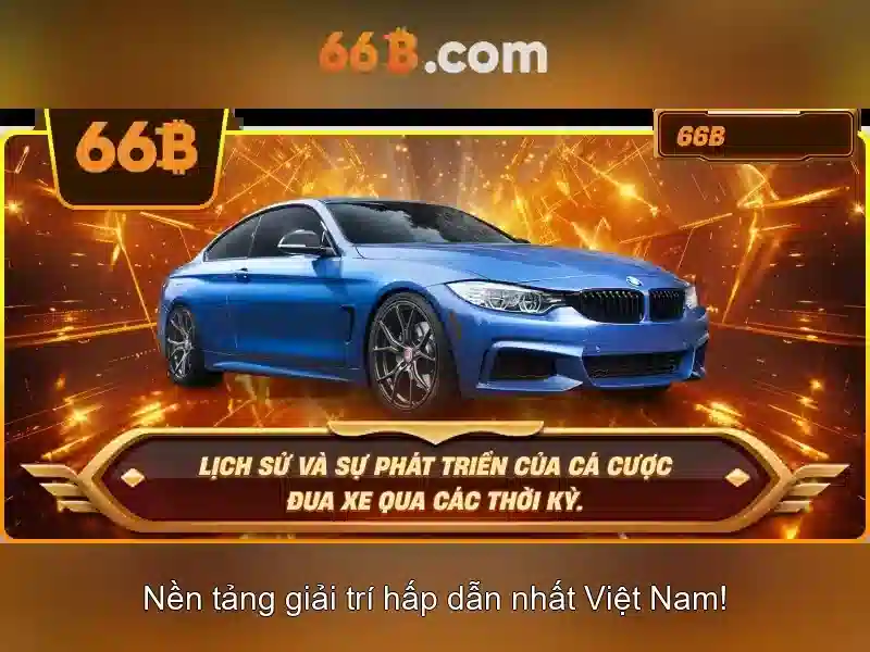 Điều Khoản Và Điều Kiện 66B