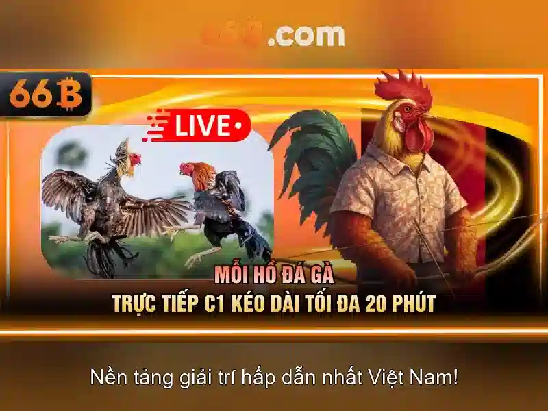 Ưu đãi đăng ký 66b
