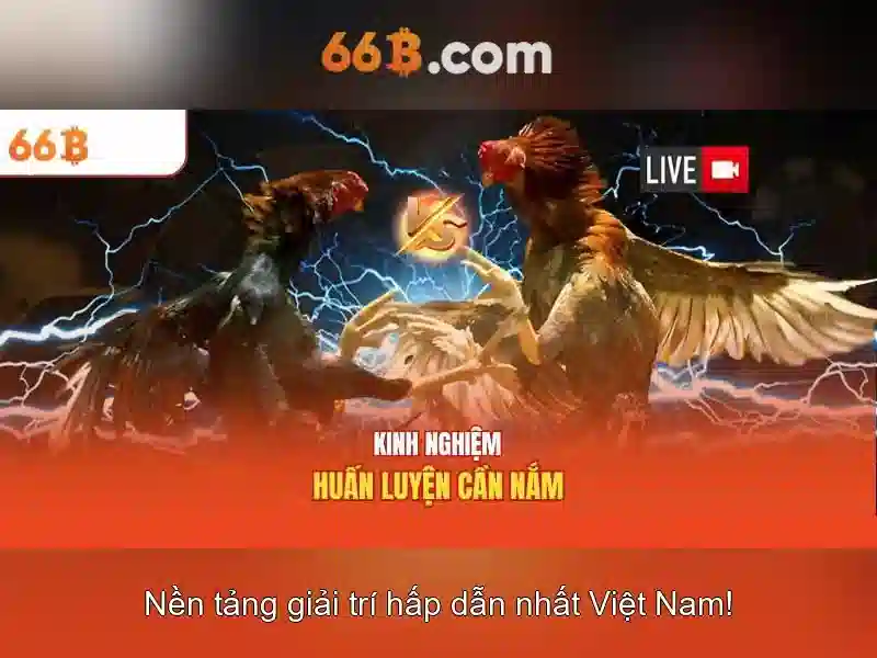Đăng Nhập 66B ‹ 66B - Trang Chủ Slot 2026