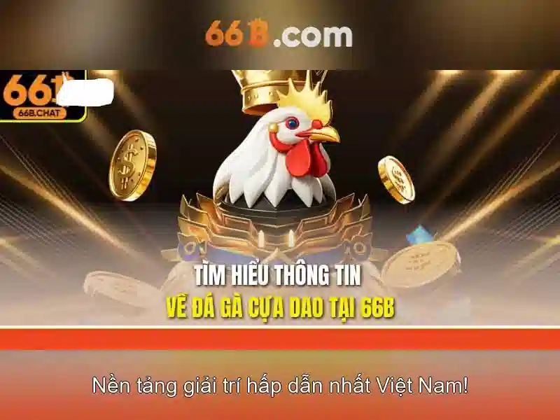 Ưu Đãi 66b Hoàn Tiền 2026