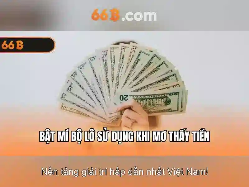 Giới Thiệu Về 66B