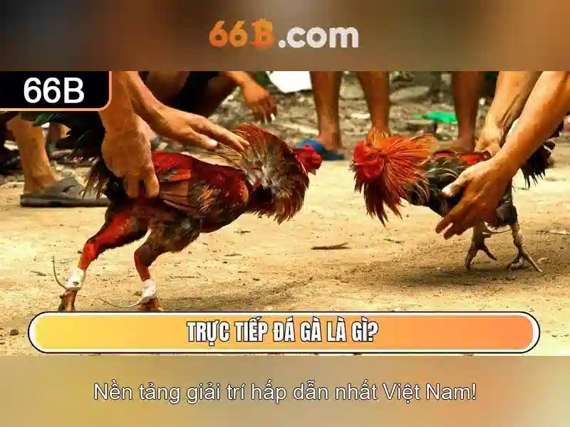 Kinh Nghiệm Chơi Slot Game 66B