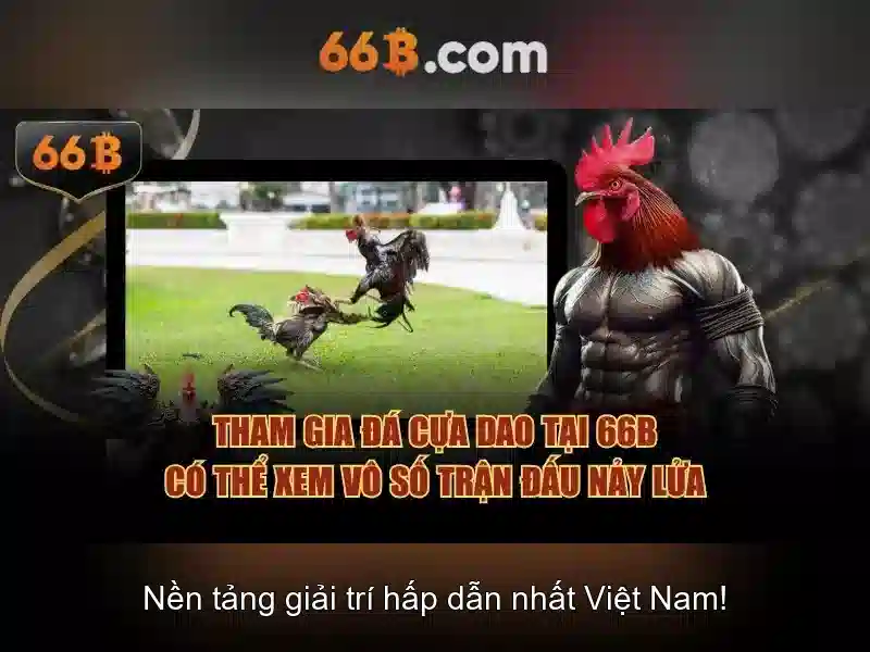 Đánh Giá 66B
