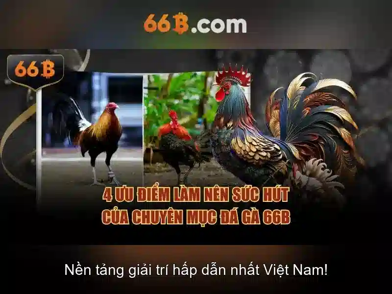 66B – Trang Chủ 66B Chuyên Cung Cấp Game Slot Đa Dạng 2026