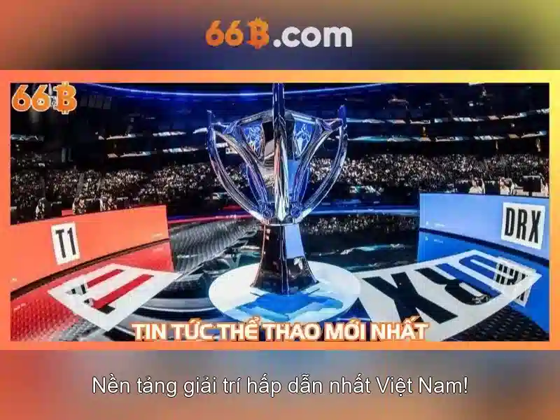 Hướng Dẫn Sử Dụng 66B