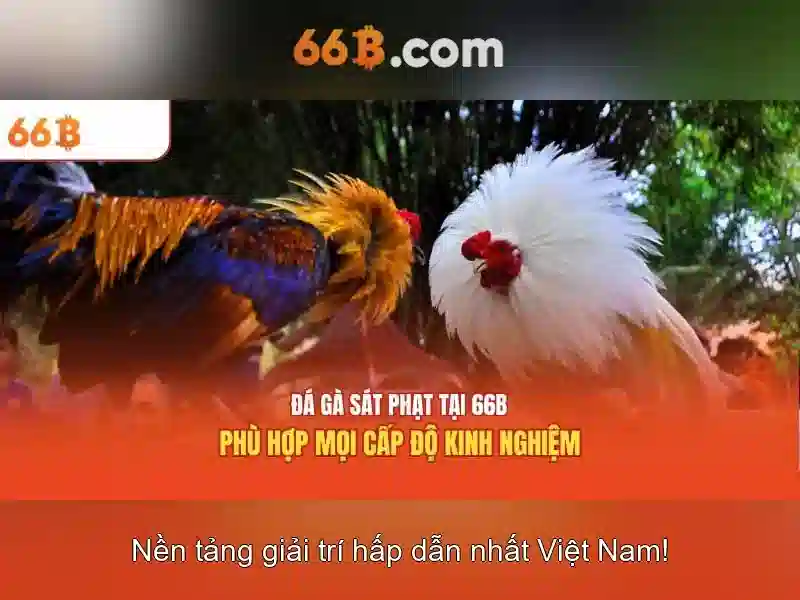 66B – Trải Nghiệm Chơi Bài Đỉnh Cao Với Chơi Bài 66B Trong Ngành Slot 2026
