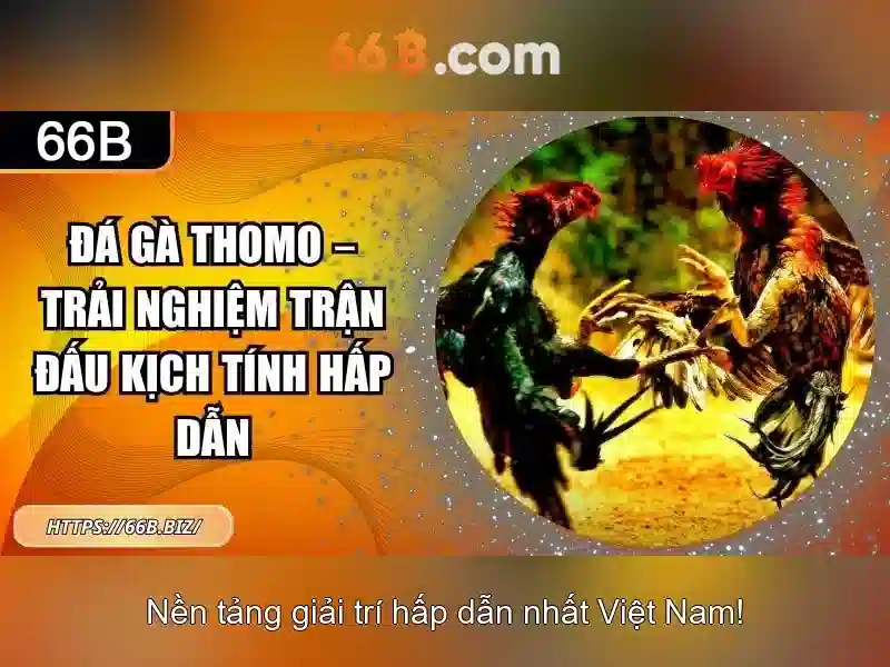 Cờ Tướng 66B