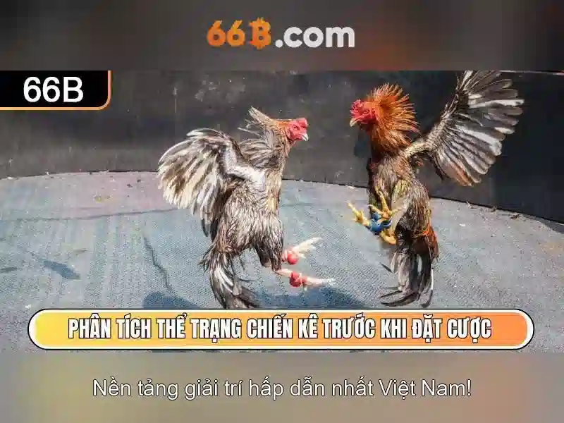 Chơi Bài 66B