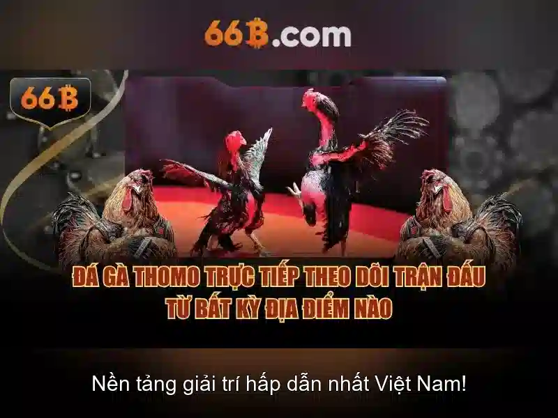 66B – Ứng Dụng Slot 66B Chính Thức Không Bị Chặn 2026