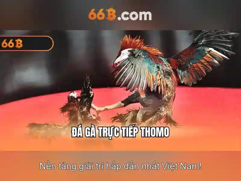 【cờ tướng 66B】 – Trải Nghiệm Slot Đỉnh Cao Tại 66B 2026