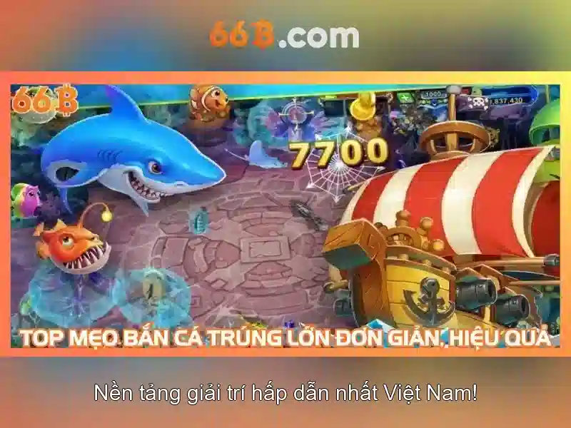 Giới Thiệu Về 66B