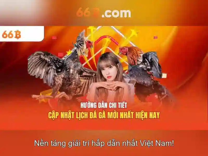 Chính Sách An Toàn 66B