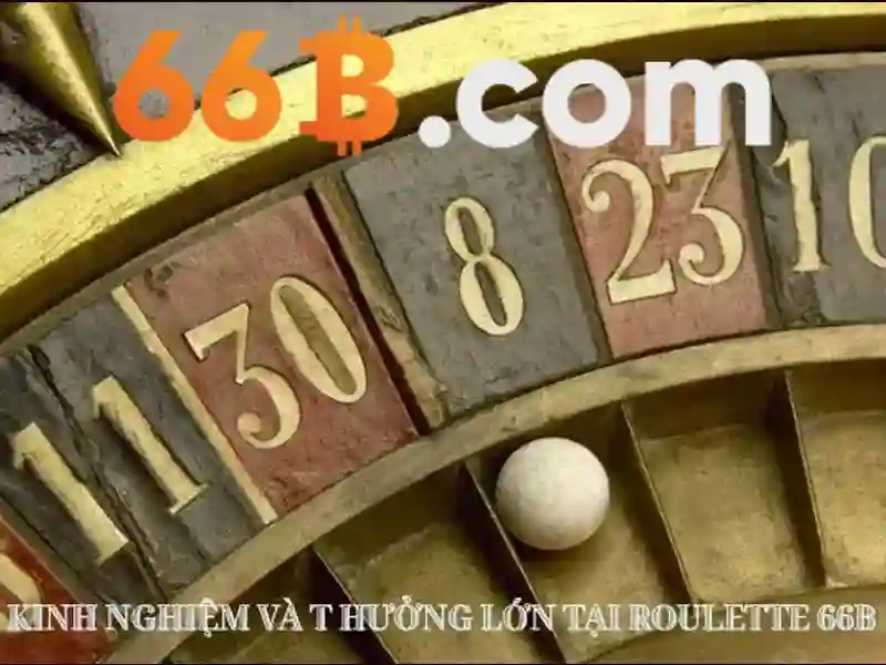 Hỗ trợ 66b 24/7