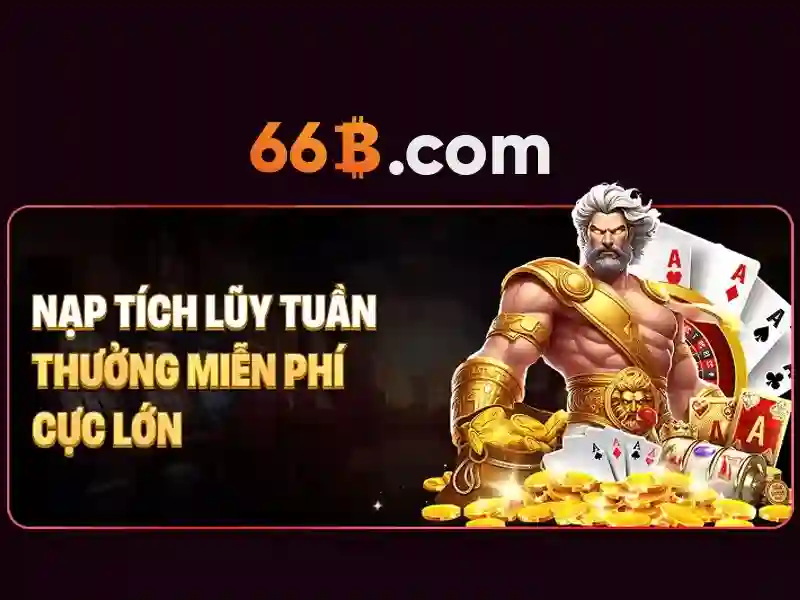 66B chính thức