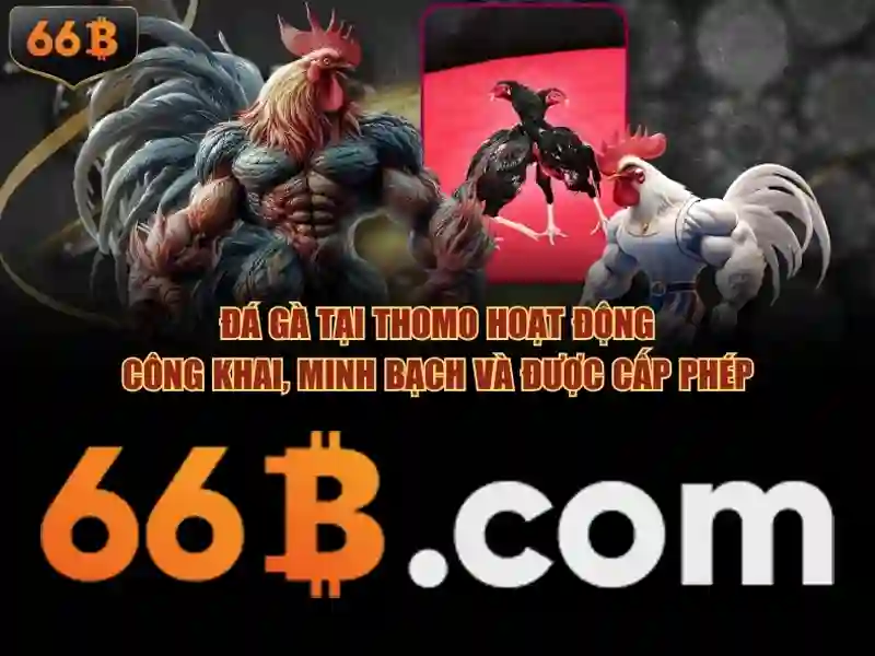 Tải 66B APK 2026