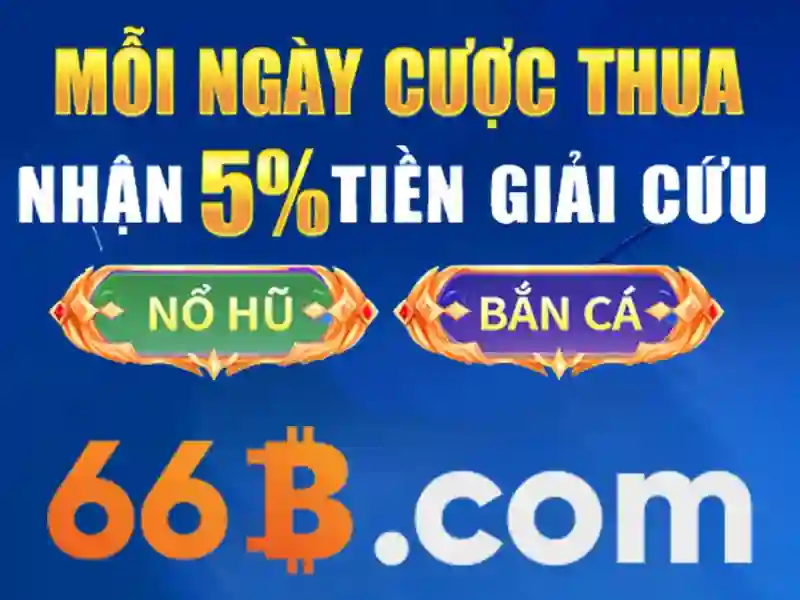 lý do chọn 66b