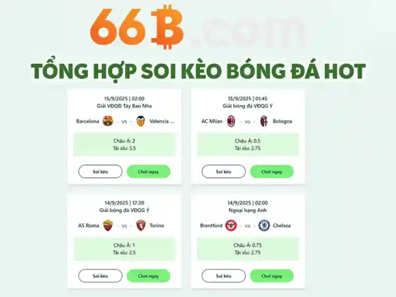 Giới Thiệu Về 66B