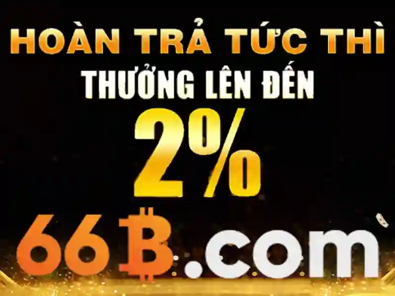 Lý Do Chọn 66B